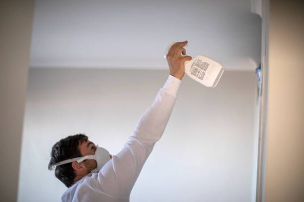 Best Crawl Space Mold Removal  in Hustisford, WI