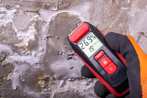 Best Emergency Mold Removal  in Hustisford, WI