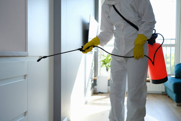 Best Mold Removal Company Near Me  in Hustisford, WI
