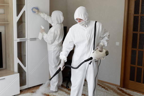 Professional Mold Removal in Hustisford, WI